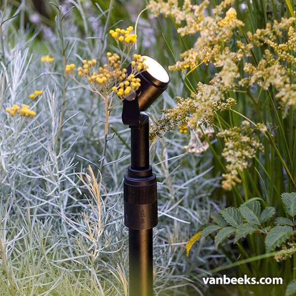 in-lite Riser 1